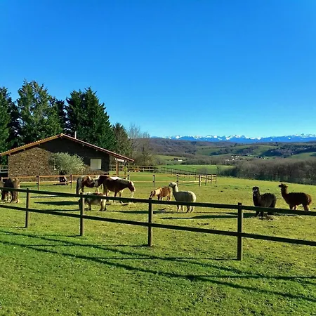 بيت للعطل Ximista *