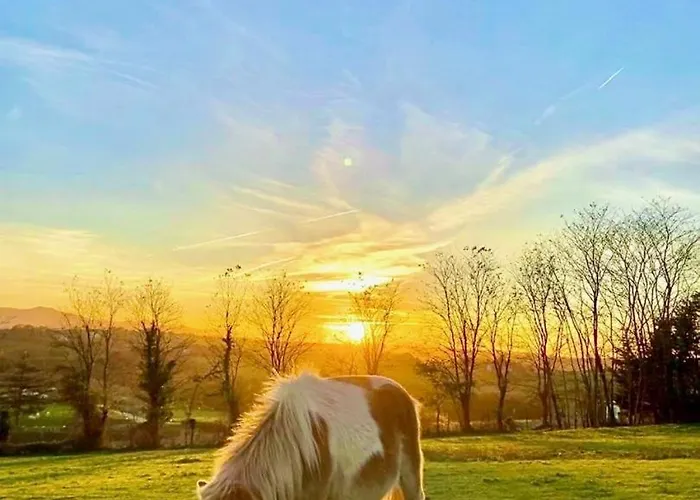 Ximista بيت للعطل *