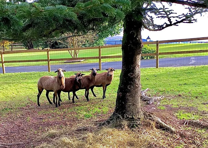 Ximista بيت للعطل