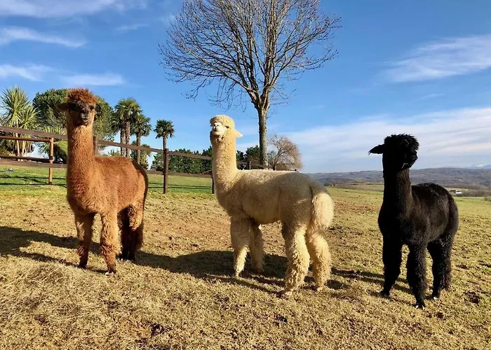 Ximista Semesterbostad *