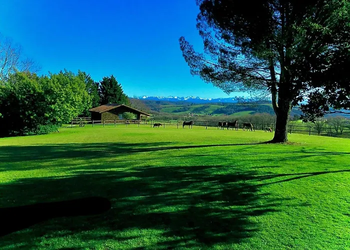 Ximista بيت للعطل