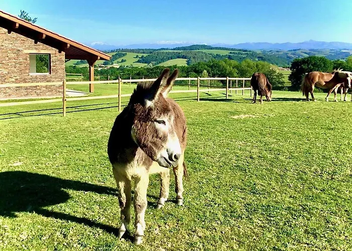 بيت للعطل Ximista